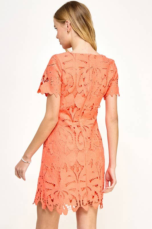 Crochet Shift Dress