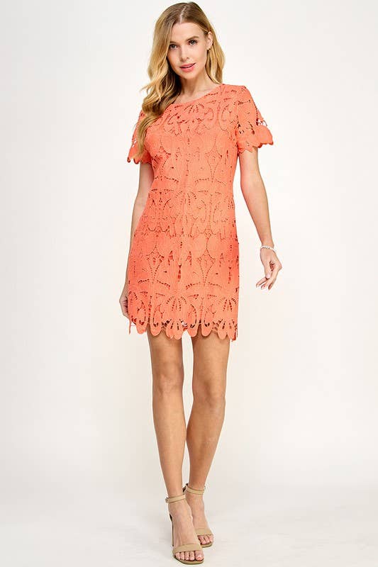 Crochet Shift Dress